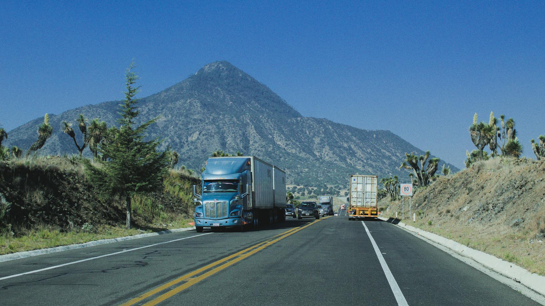 Expertiza in transport